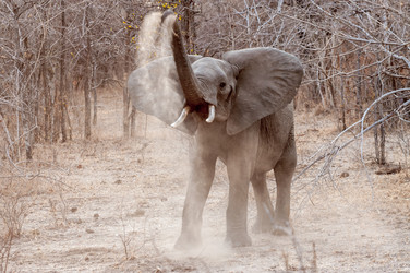 Similar image 7475471