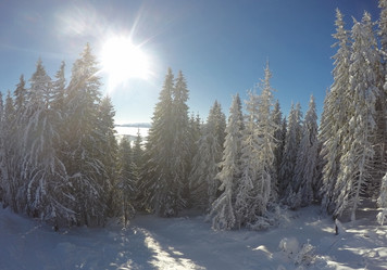 Similar image 7475498