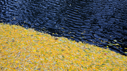 Similar image 7475507