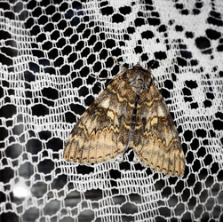 Similar image 7475509