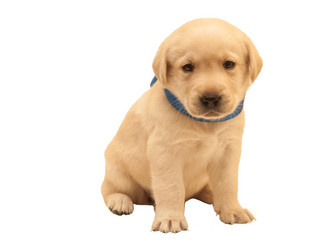 Similar image 7475529