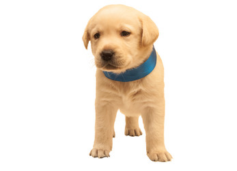 Similar image 7475531