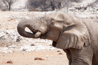 Similar image 7475534