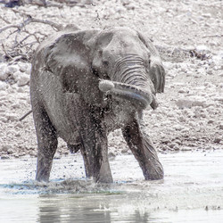 Similar image 7475538