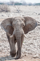 Similar image 7475542