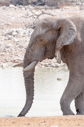 Similar image 7475545