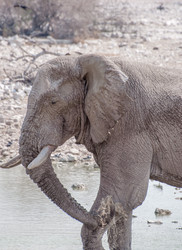 Similar image 7475547