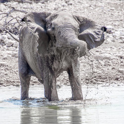 Similar image 7475552