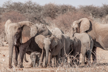 Similar image 7475556