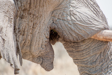 Similar image 7475559