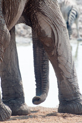 Similar image 7475563