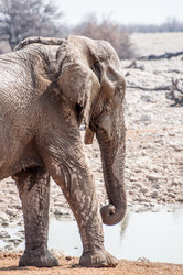 Similar image 7475564