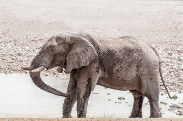 Similar image 7475567