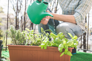 Similar image 7476171