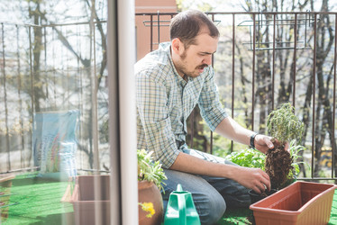 Similar image 7476183