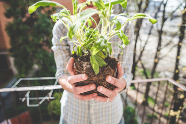 Similar image 7476193