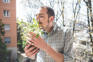 Similar image 7476201