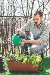 Similar image 7476491