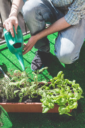 Similar image 7477148