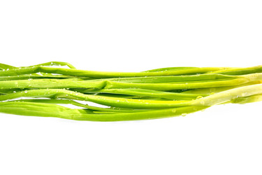 Similar image 7477454