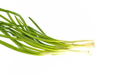 Similar image 7477456