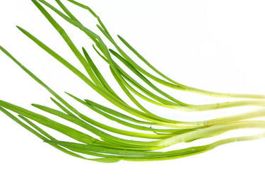 Similar image 7477457