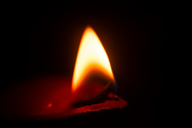 Similar image 7477542