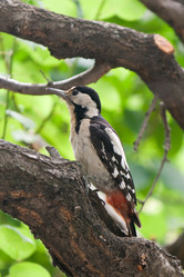 Similar image 7486325