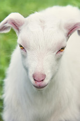 Similar image 7486359