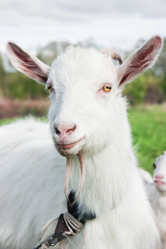 Similar image 7486365