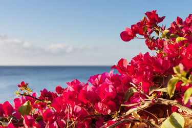 Similar image 7486366