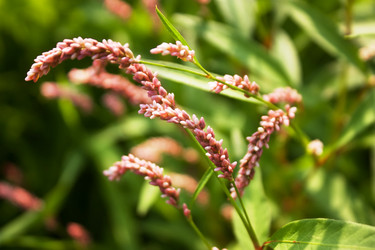 Similar image 7486368