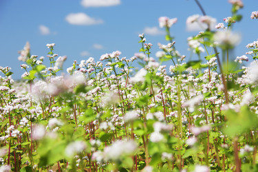 Similar image 7486369