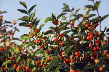 Similar image 7486371