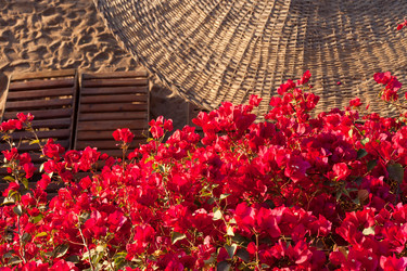 Similar image 7486399