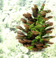 Similar image 7486460