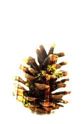 Similar image 7486461