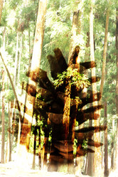 Similar image 7486463