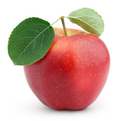 Similar image 7486495