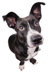 Similar image 7486519