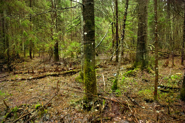 Similar image 7487709