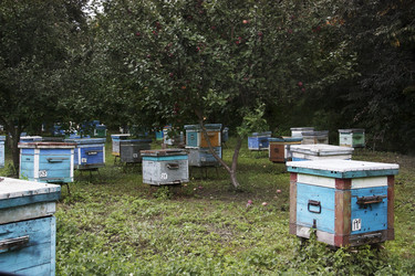 Similar image 7487710