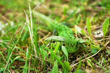 Similar image 7487711