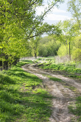 Similar image 7487712