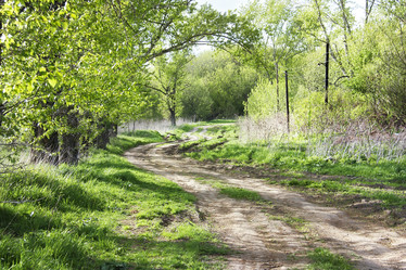 Similar image 7487713