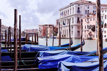 Similar image 7487845