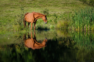 Similar image 7487955