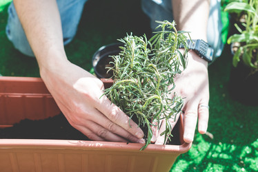 Similar image 7488057