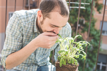 Similar image 7488066