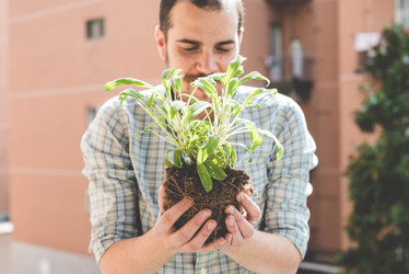 Similar image 7488109